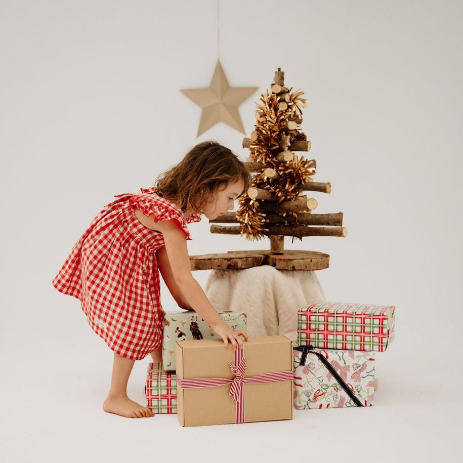 Toddler + Kids Gingham Frill Dress