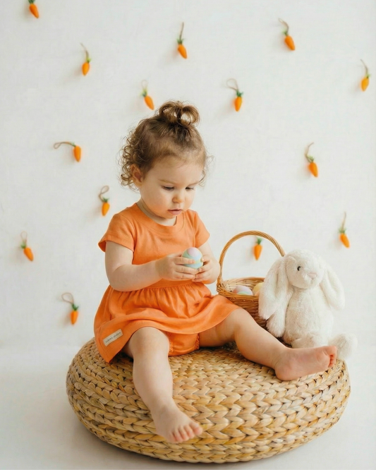 Easter Everyday Dress + Bummies Set