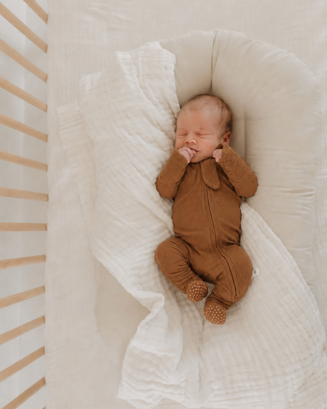 Bear Sleeper